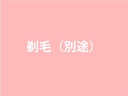 剃毛(別途 脱毛料金の10%)